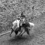 France, Alsace, Châtenois, Fête des Remparts, Pixanne Photographies