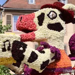 France, Alsace, Sélestat, Corso Fleuri, Pixanne Photographies