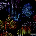 France, Alsace, Strasbourg, Illumination de la Cathédrale, Pixanne Photographies