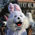 France, Alsace, Strasbourg, Carnaval, Pixanne Photographies