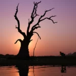 Asie, Myanmar, Birmanie, Amarapura, Coucher de Soleil, Pixanne Photographies