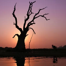 Asie, Myanmar, Birmanie, Amarapura, Coucher de Soleil, Pixanne Photographies