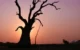 Asie, Myanmar, Birmanie, Amarapura, Coucher de Soleil, Pixanne Photographies