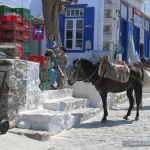 Grèce, Iles Saroniques, Hydra, Pixanne Photographies
