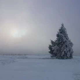 Vosges, Champ du Feu, Hiver, Pixanne Photographies