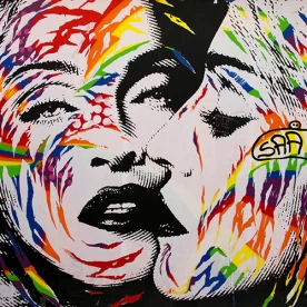 France, Ile de France, Paris, Montmartre, Rue Véron, Street Art, Jo Di Bona, Pixanne Photographies