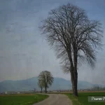 France, Alsace, Bischoffsheim, Texture, Pixanne Photographies