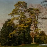 France, Alsace, Strasbourg, Parc de l'Orangerie, Texture, Pixanne Photographies