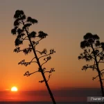 France, Corse, Porto, Coucher de soleil, Contre jour, Pixanne Photographies