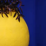 Maroc, Marrakech, Jardin Majorelle, Pixanne Photographies