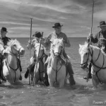 Saintes Maries de la Mer, Pèlerinage des Gitans, Gardians, Pixanne Photographies