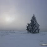 Vosges, Champ du Feu, Hiver, Pixanne Photographies