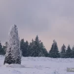 Vosges, Champ du Feu, Hiver, Pixanne Photographies