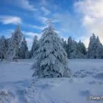 Vosges, Champ du Feu, Hiver, Pixanne Photographies