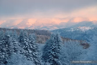 France, Alsace, Bellefosse, Champ du Feu, Hiver, Pixanne Photographies