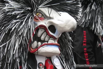 France, Alsace, Colmar, Carnaval 2013, Pixanne Photographies