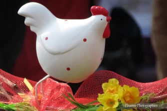 France, Alsace, Colmar, Colmar Fête le Printemps, Pâques en Alsace, Pixanne Photographies